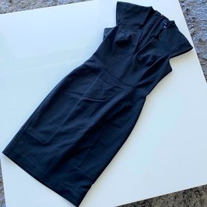 Beautiful French connection fitted dress